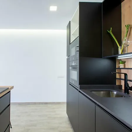 Appartamento Flatguest Atico Lujoso